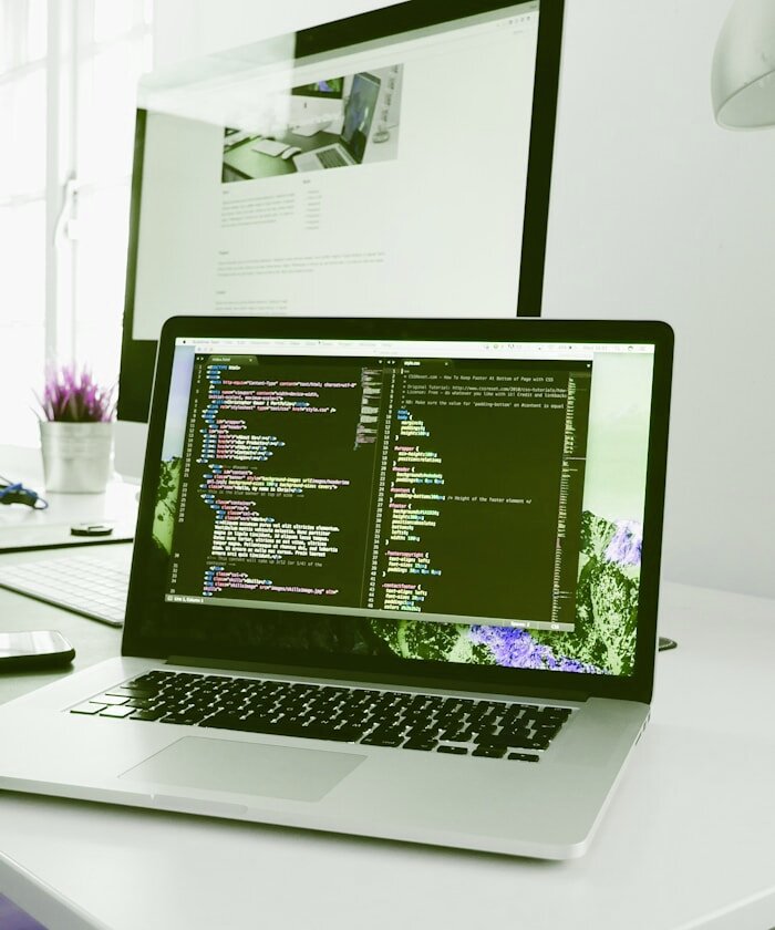Diseño web profesional en León