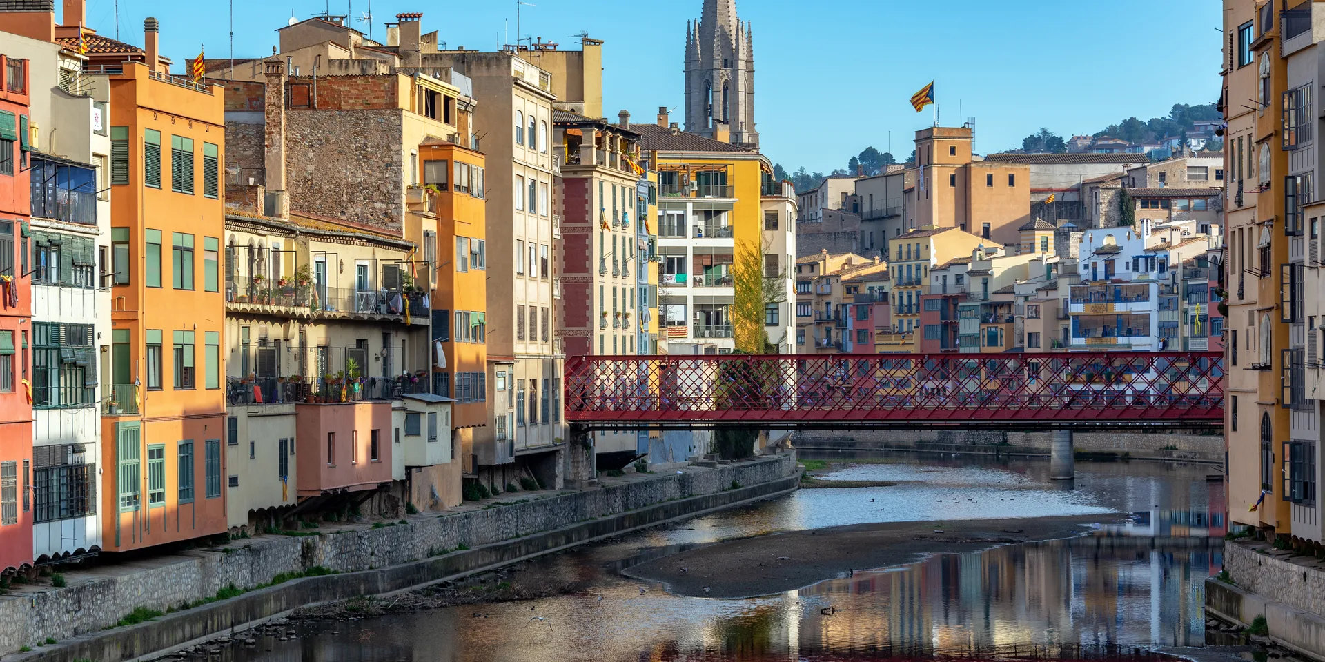 Software a medida y automatización IA en Ourense