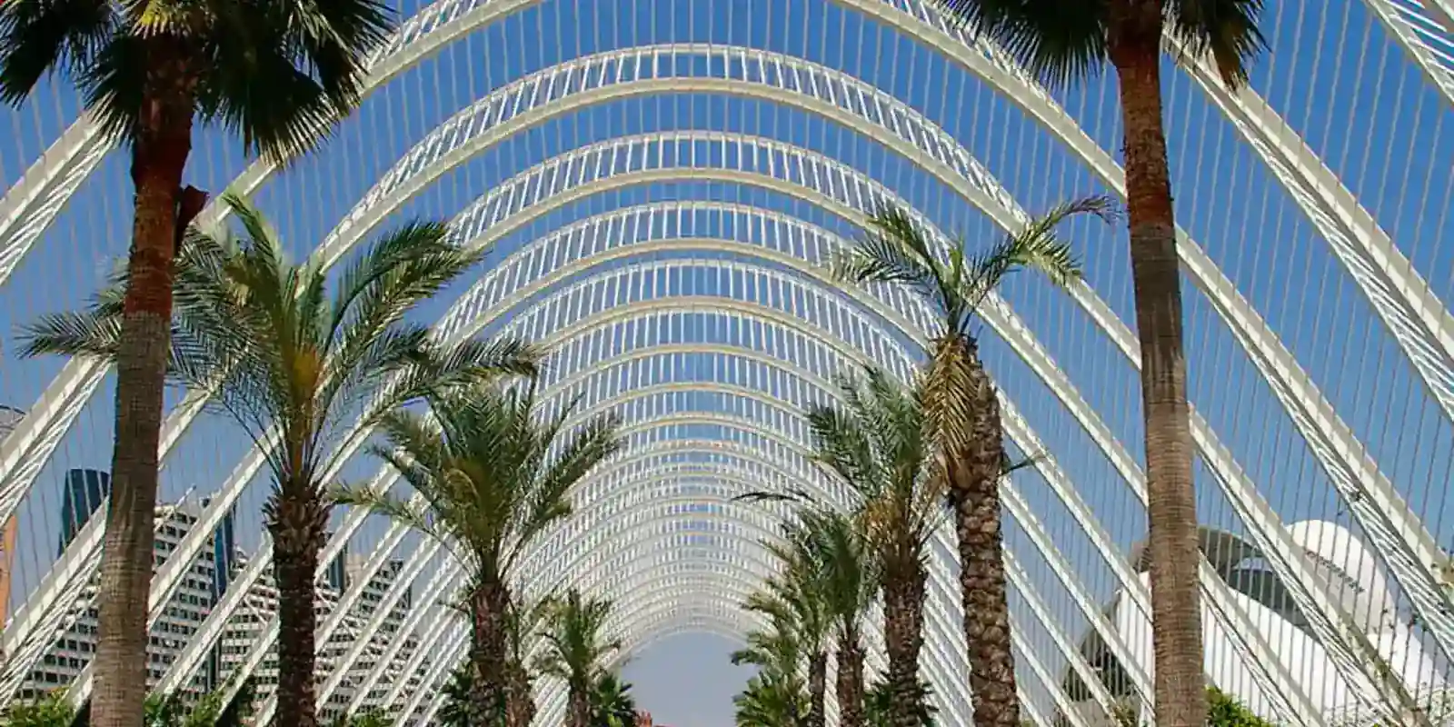 Software a medida y automatización IA en Valencia