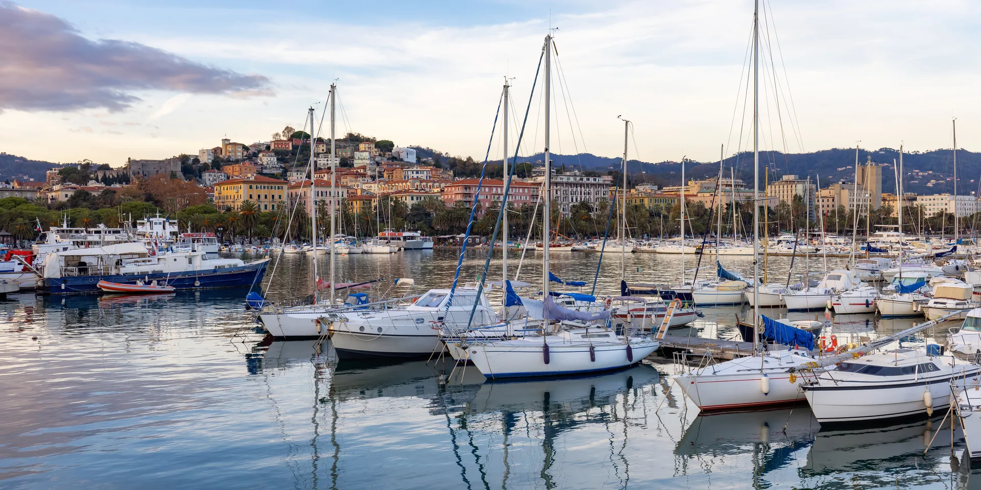 Software a medida y automatización IA en Vigo