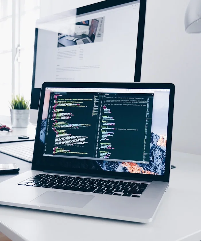 Diseño web profesional en Zaragoza